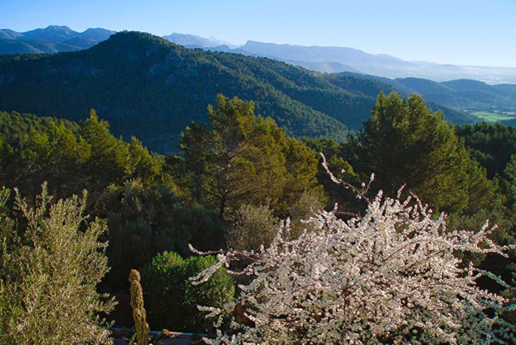 Loftotel Canet Esporles Dış mekan fotoğraf
