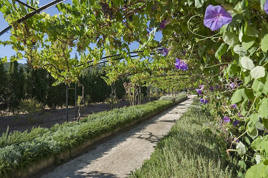 Loftotel Canet Esporles Dış mekan fotoğraf