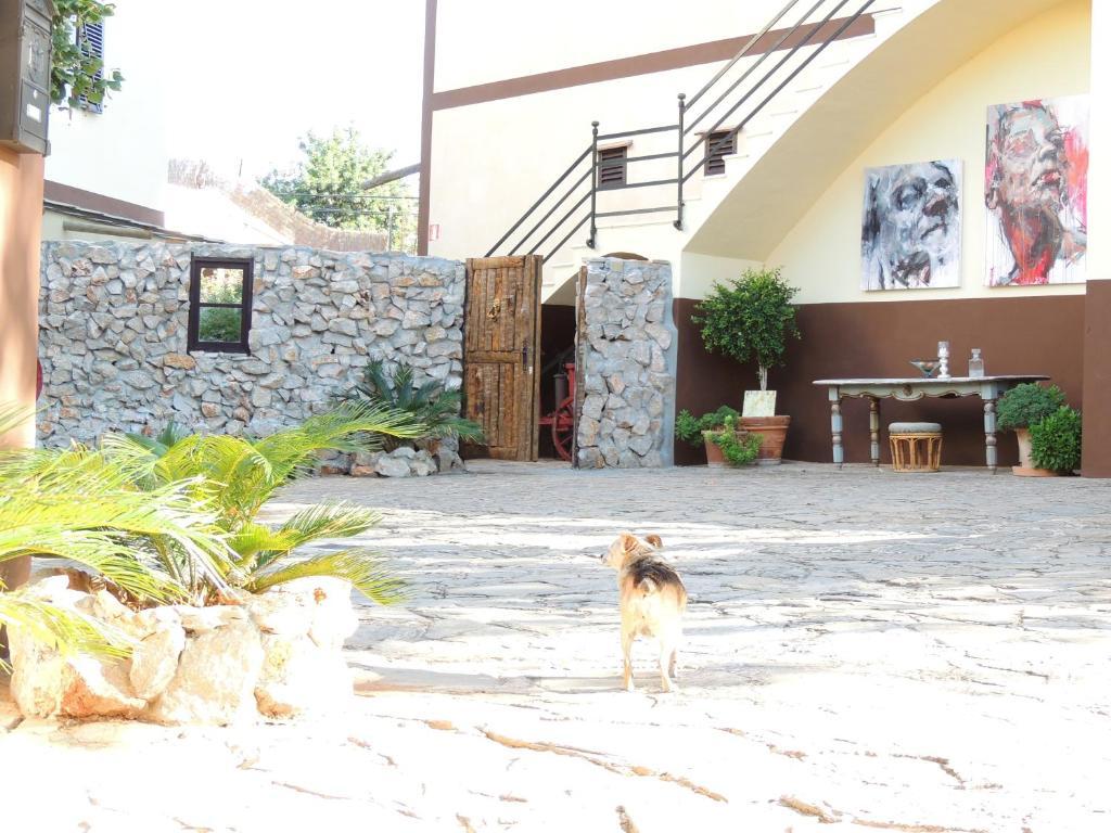 Loftotel Canet Esporles Dış mekan fotoğraf
