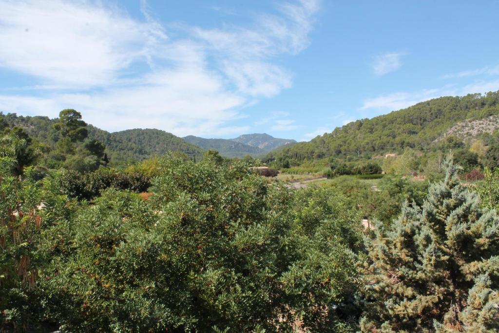 Loftotel Canet Esporles Oda fotoğraf