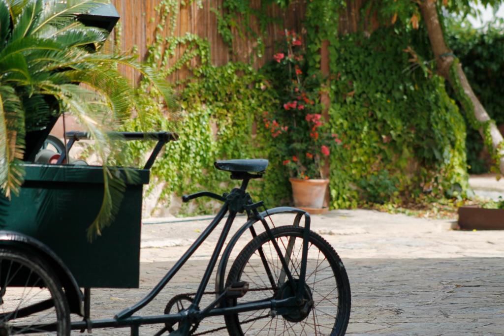 Loftotel Canet Esporles Dış mekan fotoğraf