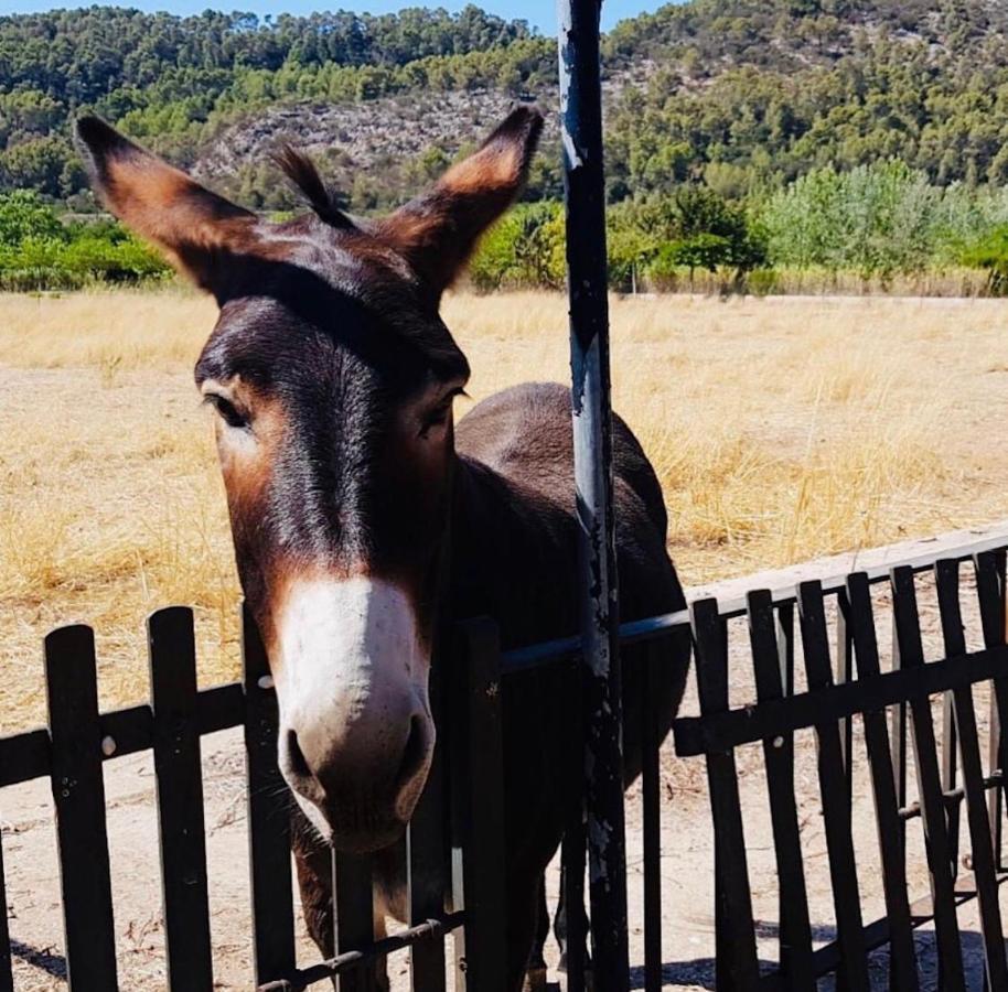 Loftotel Canet Esporles Dış mekan fotoğraf